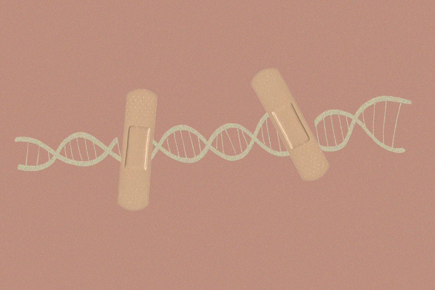 DNA链和两条创可贴