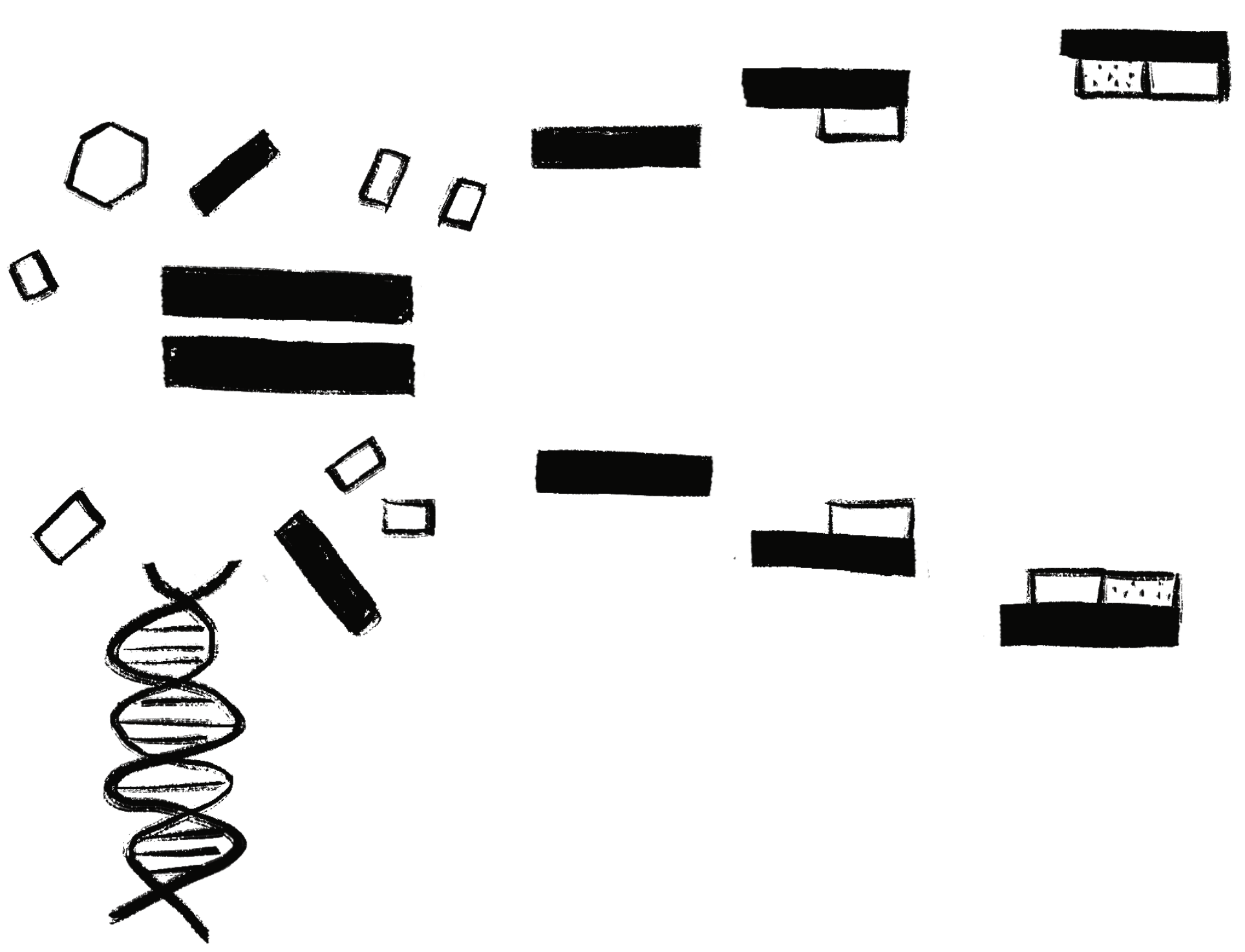 DNA聚合酶:它是什么?它有什么作用?