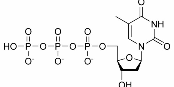 什么是三磷酸乙酰噻天敏胺（DTTP）？