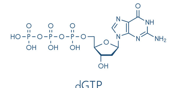什么是三磷酸（DGTP）是什么？