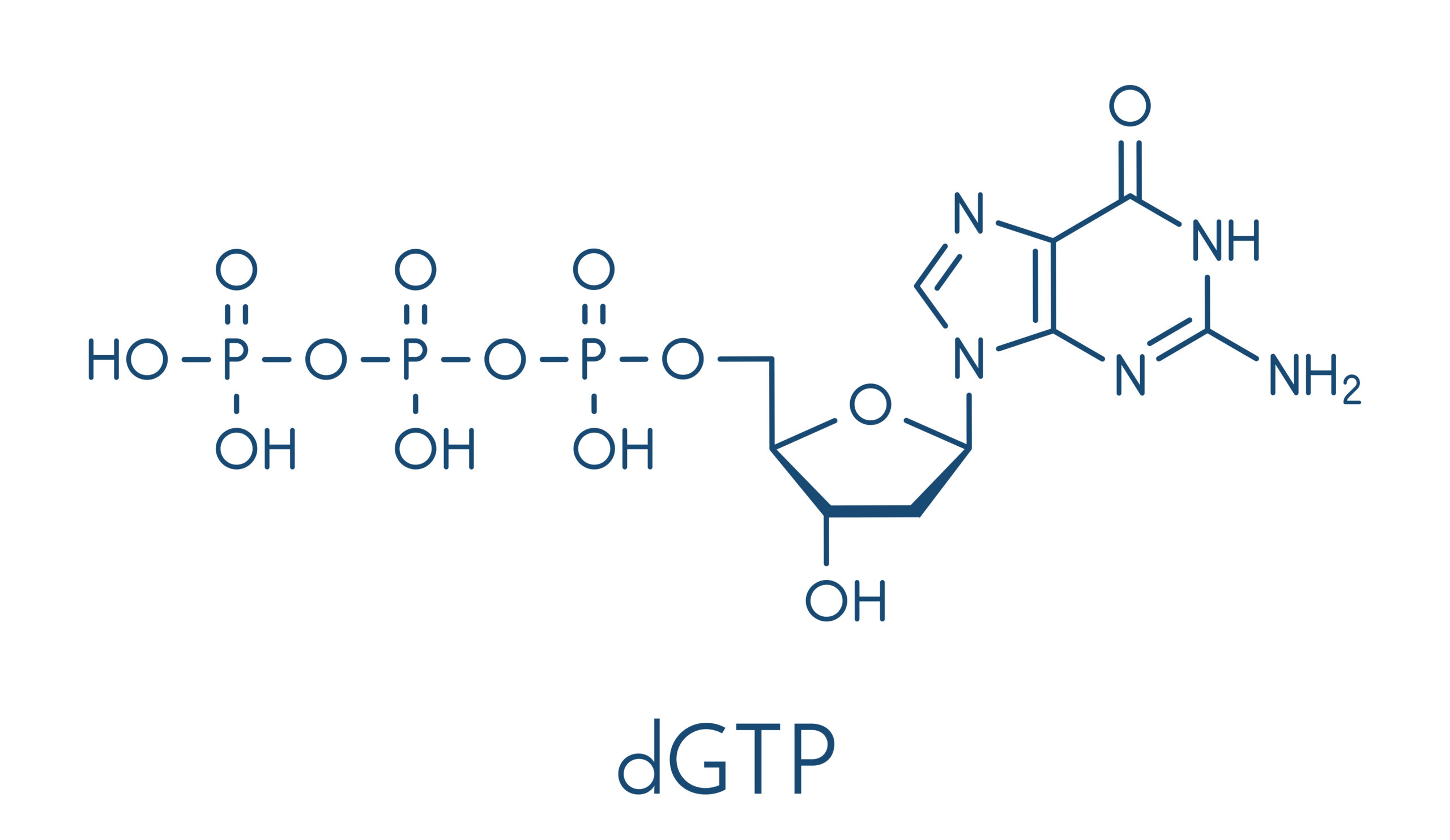 三磷酸（DGTP）分子结构。