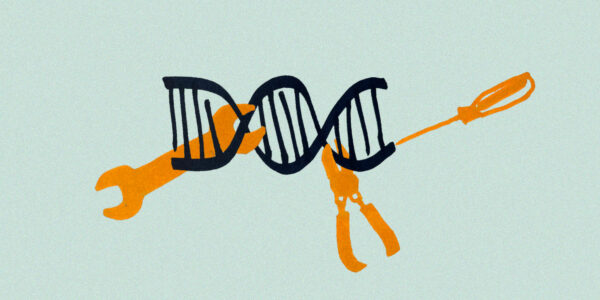 DNA修改解释