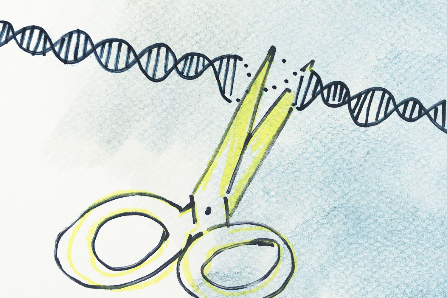 剪刀剪断DNA链