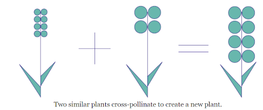 两种相似的植物交叉授粉形成一种新植物