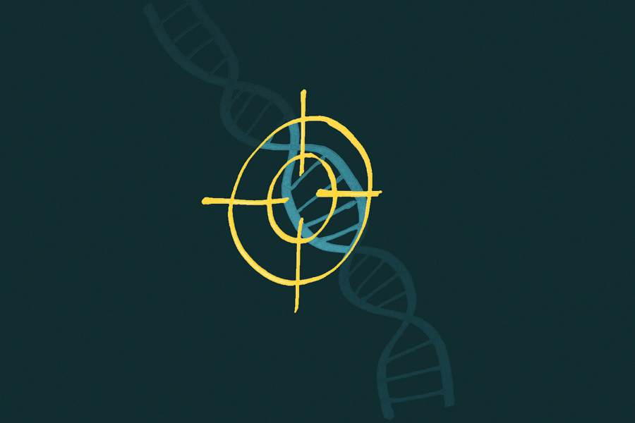 沿着DNA双螺旋链移动的目标